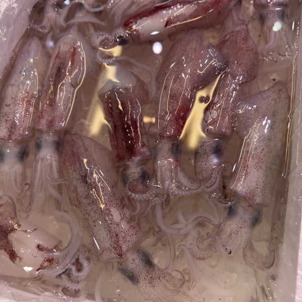 ダルマイカ|甘味と旨味があってとっても美味しい