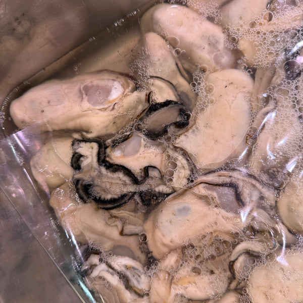 加熱用牡蠣(大)|身が良くなってきて大変おすすめ