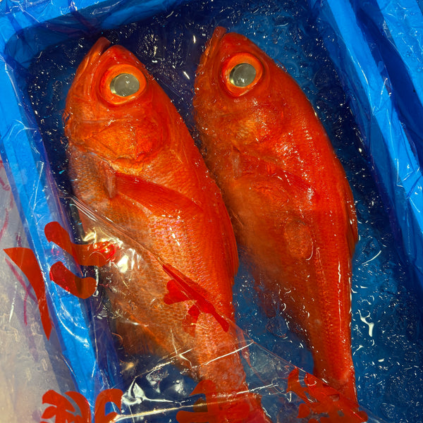 特上 金目鯛|千葉県産銚子産!大変良くなってきておすすめです。