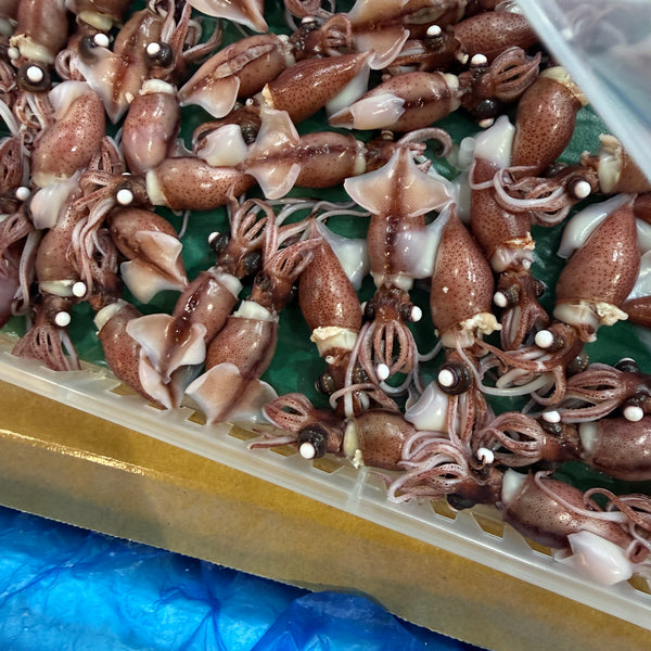 富山湾 ホタルイカ|始まりました!春の魚が増えてます