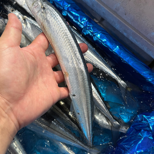 新サンマ|大サイズは入荷ありますが、特大は中々ありません。