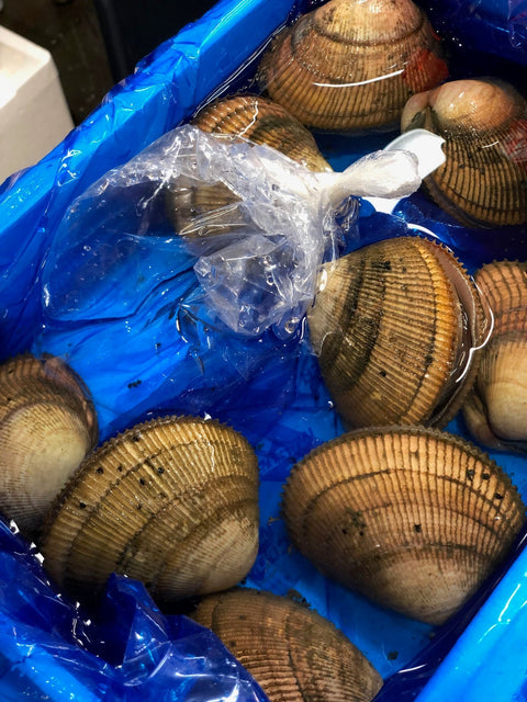 京都府産 特大トリ貝