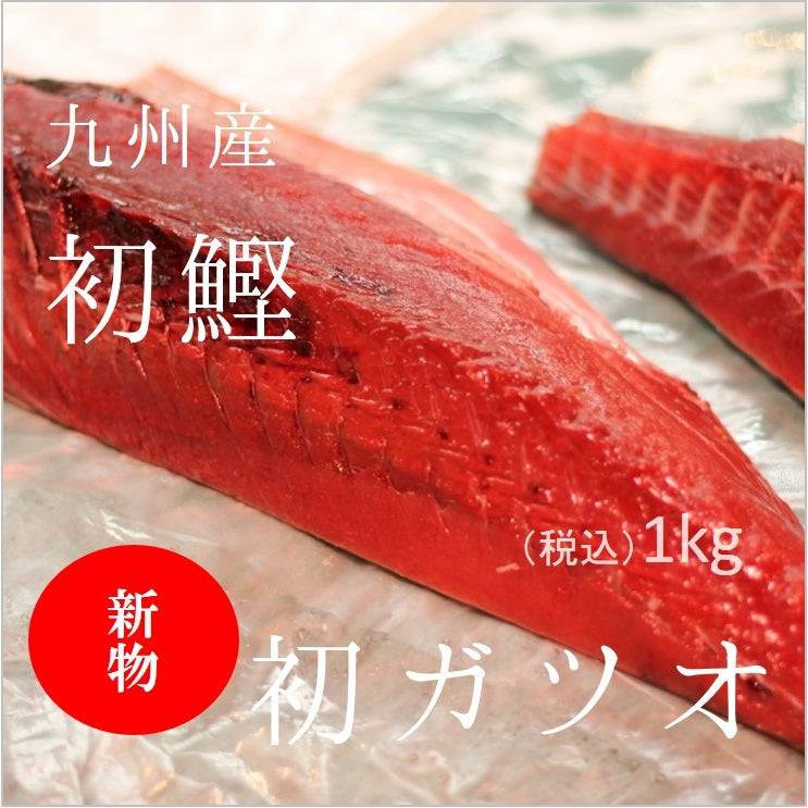 鹿児島県産の初鰹！入荷しています！ – 豊洲Okawari鮮魚店