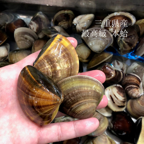三重県産 本ハマグリ 豊洲直送 Okawari鮮魚店