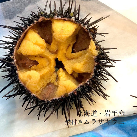 店長のおすすめ:旬の殻付きキタムラサキウニ