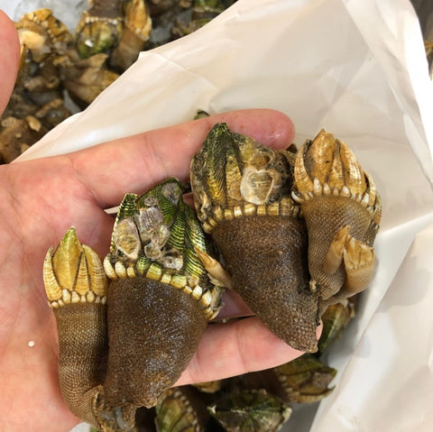 カメノテ 亀の手 浜名湖産 静岡県 Okawari 鮮魚通販 豊洲直送
