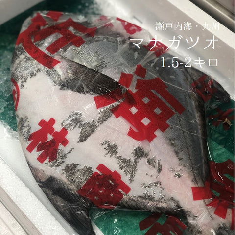 旬のお魚:マナガツオ