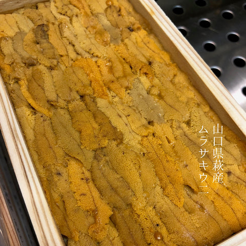 ムラサキウニ 山口県萩 豊洲直送 鮮魚通販 Okawari鮮魚店
