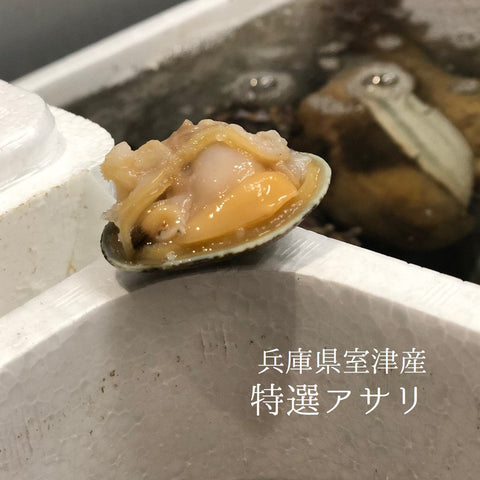 兵庫県室津 アサリ 鮮魚通販 豊洲直送 Okawari鮮魚店