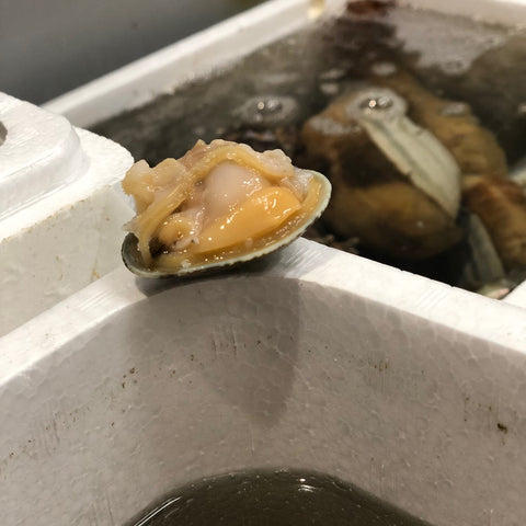 豊洲直送の特選アサリ