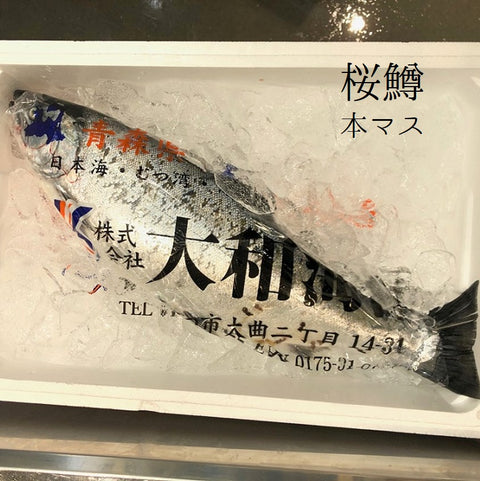 サクラマス　本マス　青森　北海道　三陸　Okawari鮮魚店　鮮魚通販