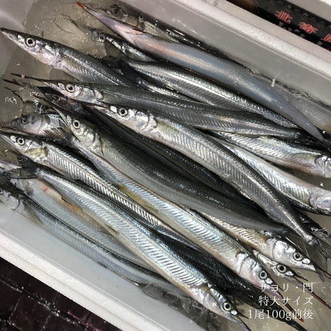 江戸前 閂(カンヌキ)