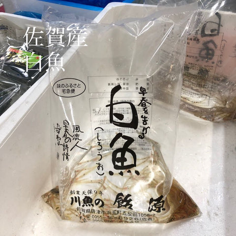素魚 イサザ シロウオ okawari 鮮魚通販 豊洲直送