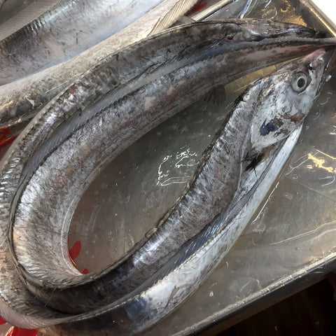 特選太刀魚 ドラゴン 竹岡 Okawari 鮮魚店 豊洲直送 鮮魚通販 豊洲市場