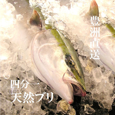 北海道産 特上ブリ