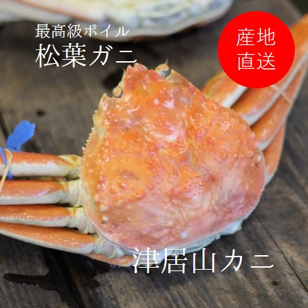 冬の高級蟹!松葉ガニが始まりました!