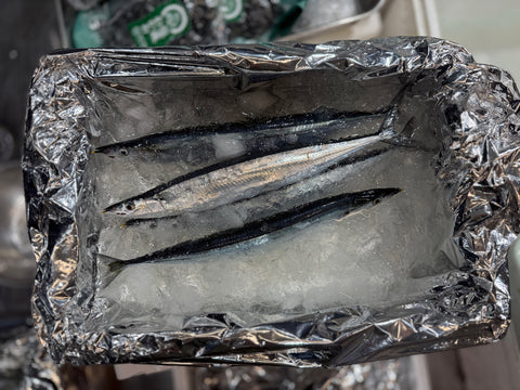 新サンマ 鮮魚 北海道産 計5尾(大・特大・超特大サイズ)【秋刀魚5尾】冷蔵 豊洲市場