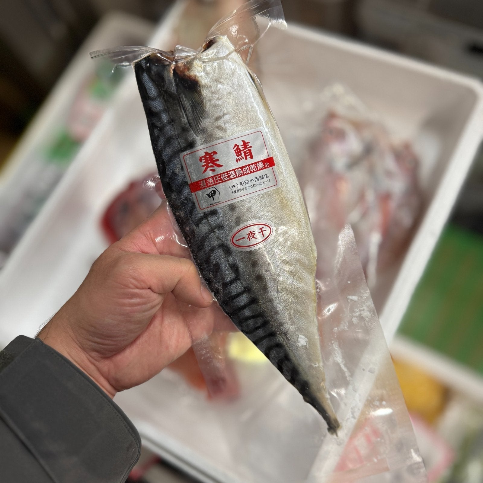 日本一干物セット 5種(のどぐろ・キンキ・金目鯛・サバ・カレイ)冷凍