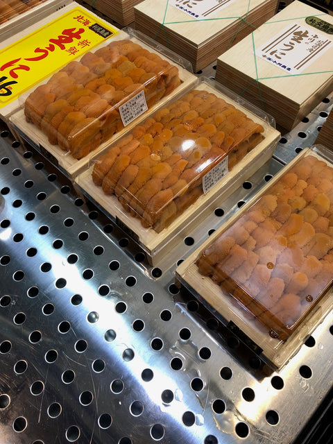 上 ウニ 並び 北方四島・北海道産 バフンウニ 赤ウニ 約300g 大箱【上赤ウニ大箱x1】冷蔵