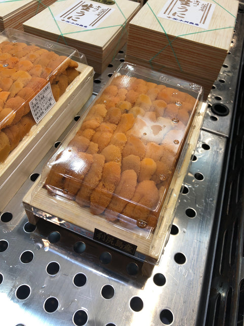 上 ウニ 並び 北方四島・北海道産 バフンウニ 赤ウニ 約300g 大箱【上赤ウニ大箱x1】冷蔵