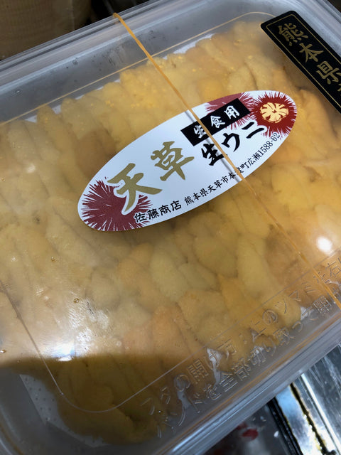 特選 生ウニ(赤ウニ)熊本県天草産 100g 赤雲丹【天草産 アカウニ 】冷蔵 豊洲直送