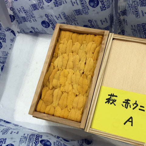 特選 アカウニ 山口県萩産 50g 赤雲丹【萩産 アカウニ 】冷蔵 豊洲直送