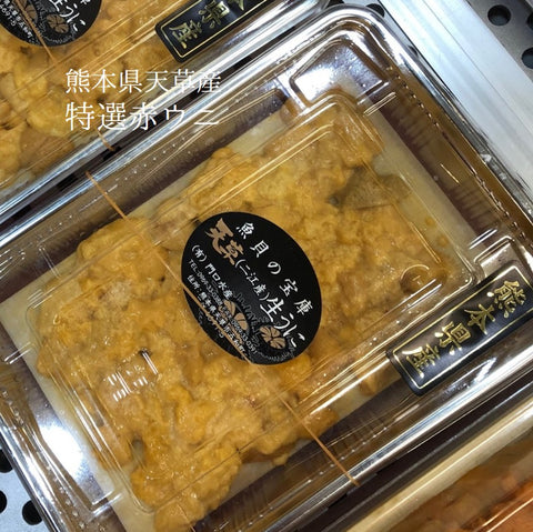 特選 生ウニ(赤ウニ)熊本県天草産 100g 赤雲丹【天草産 赤ウニ 】冷蔵 豊洲直送