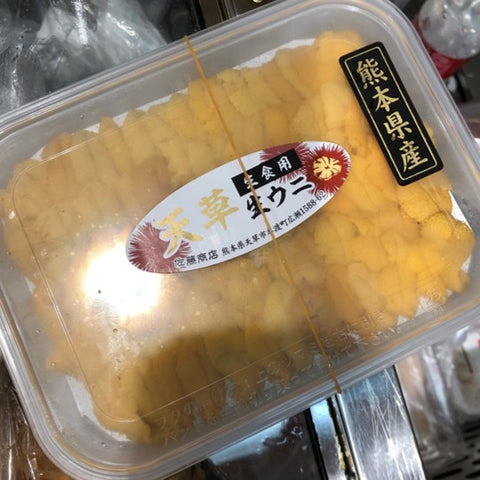 特選 生ウニ(赤ウニ)熊本県天草産 100g 赤雲丹【天草産 赤ウニ 】冷蔵 豊洲直送