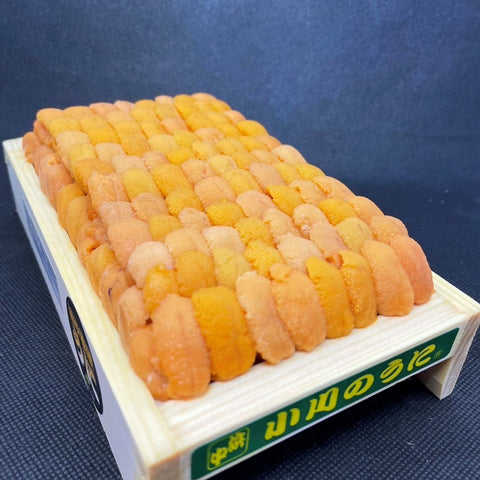 特上 ウニ 並び 北海道浜中産 バフンウニ 赤ウニ 約300g 大箱【浜中赤ウニ大箱x1】冷蔵