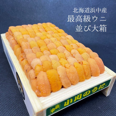 特上 ウニ 並び 北海道浜中産 バフンウニ 赤ウニ 約300g 大箱【浜中赤ウニ大箱x1】冷蔵