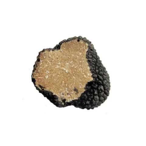 フレッシュ トリュフ 100g(フランス・イタリア)