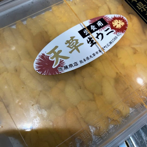 特選 生ウニ(赤ウニ)熊本県天草産 100g 赤雲丹【天草産 アカウニ 】冷蔵 豊洲直送