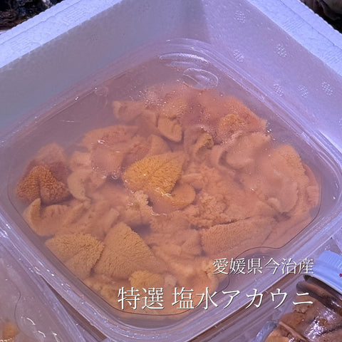 特選 アカウニ(塩水ウニ) 愛媛県今治産 100g【今治塩水ウニ100g】豊洲直送 冷蔵