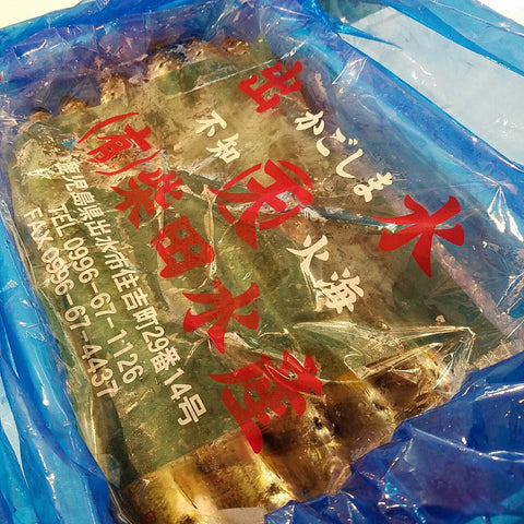 出水 特上 釣り鯵 豊洲最高級 鹿児島出水産 計5尾(1尾130-180g前後)【出水アジ5尾】 冷蔵
