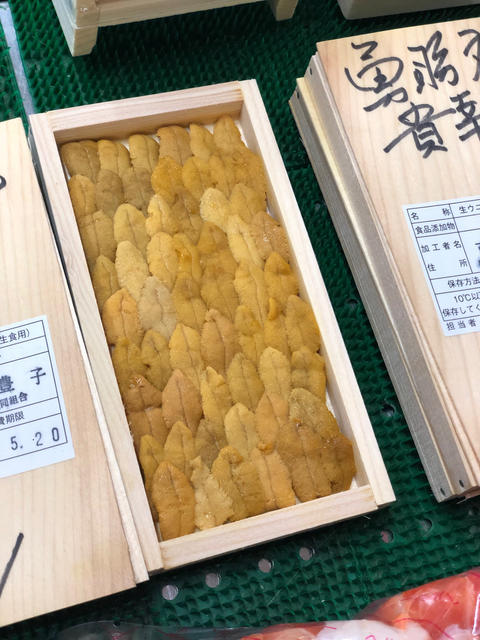 唐津産の特選赤ウニ