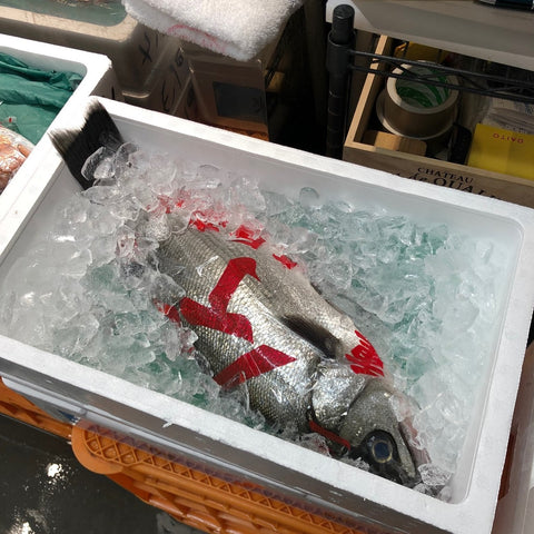 ヒラスズキ 平鱸 国産(三重・千葉 他)1尾1.5-2kg【ヒラスズキ1.5-2kg】冷蔵