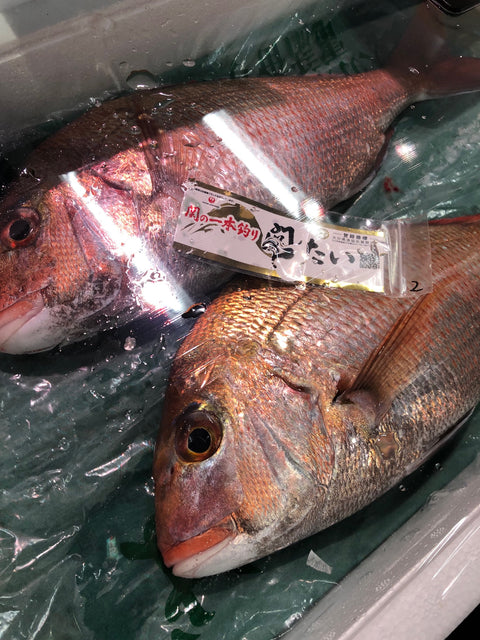 特選 天然マダイ 淡路島・大分・愛知・鹿児島出水産など 1尾1-2kgサイズ【テンタイ】冷蔵 豊洲直送 真鯛 桜鯛