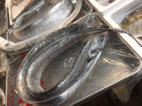 生 天然 太刀魚 特大タチウオ 丸一本 ドラゴン 和歌山/九州産 他 1尾2kgサイズ【太刀魚2K】冷蔵 豊洲直送