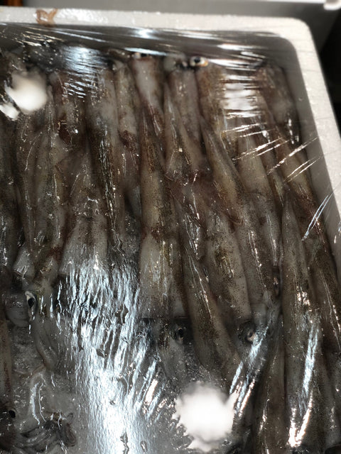 子持ちヤリイカ 鎗烏賊 京都産 他 1杯50-100g前後・計500g【子持ちヤリイカ500g】冷蔵 豊洲直送