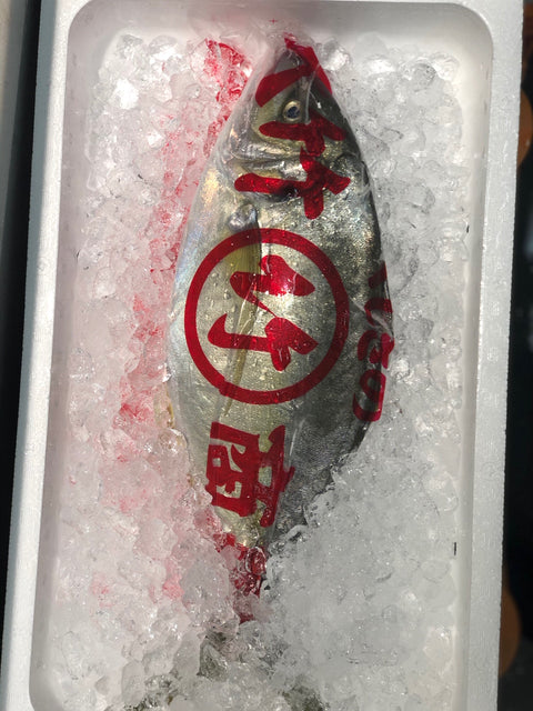 天然シマアジ しまあじ 最高級 1尾 高知 他【天然縞鯵】冷蔵