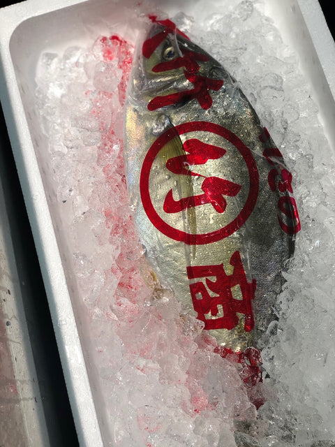 天然シマアジ しまあじ 最高級 1尾 高知 他【天然縞鯵】冷蔵