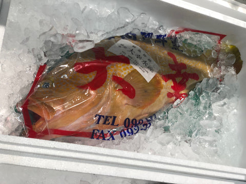 キジハタ / アコウ 福岡 他 1尾1-1.5kg 【キジハタ1.5KG】 冷蔵 雉子羽太