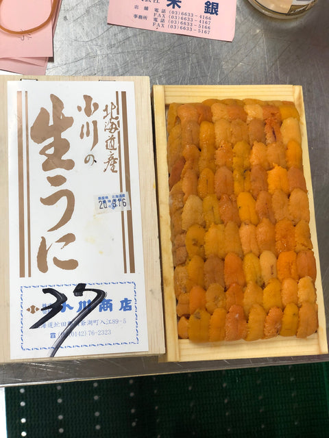 上 ウニ 並び 北方四島・北海道産 バフンウニ 赤ウニ 約300g 大箱【上赤ウニ大箱ｘ１】冷蔵