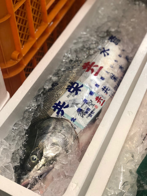 銀聖 北海道幌泉郡えりも町産 究極の秋鮭 1尾3.5-4kgサイズ【銀聖3.5-4kgx1】冷蔵