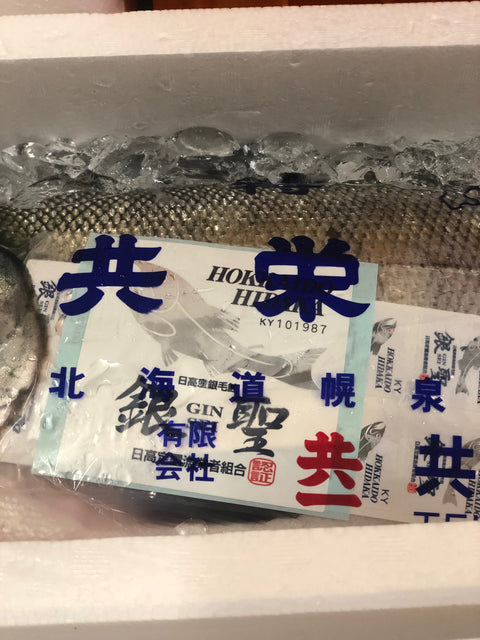 銀聖 北海道幌泉郡えりも町産 究極の秋鮭 1尾3.5-4kgサイズ【銀聖3.5-4kgx1】冷蔵