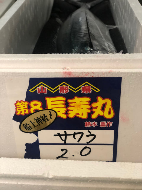 庄内おばこサワラ 2-2.5kg 山形産【おばこ鰆２Kｘ１】冷蔵