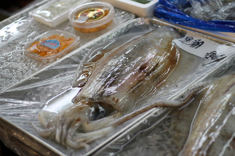 アオリイカ 約１キロ 神奈川 他 豊洲直送 鮮魚【アオリイカ１K】 冷蔵