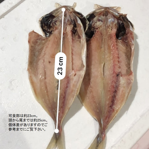 大アジ干物 沼津加工 5尾入 約1キロ分(1尾約200g)【特大鯵干物5尾】冷凍 豊洲直送 お徳用