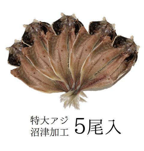大アジ干物 沼津加工 5尾入 約1キロ分(1尾約200g)【特大鯵干物5尾】冷凍 豊洲直送 お徳用