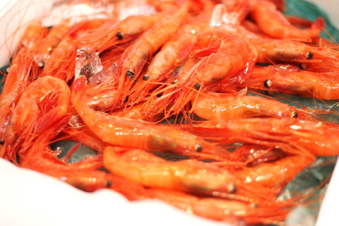 甘エビ 生 北海道産 10尾(約20-25g/1尾) 豊洲直送 甘えび 甘海老 アマエビ【生甘エビx10尾】 冷蔵